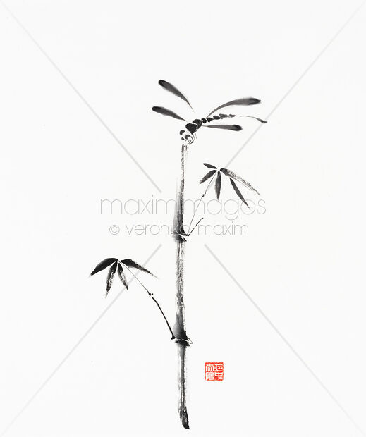 Original Artwork of Zen sumi-e painting on white rice paper of a Dragonfly sitting on top of a bamboo stalk Buy this Painting at MaximImages