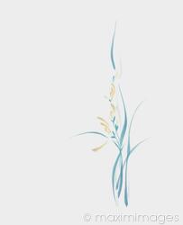 Artistic elegant orchid flowers floral design in teal and gold on light gray background