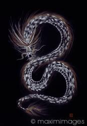 Asian mighty dragon artistic sumi-e design illustration on black