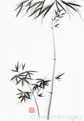 Bamboo stalk with branches and leaves Japanese Zen Sumi-e painting on white rice paper