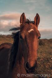 New image by Juan Alfonso Solis Martinez