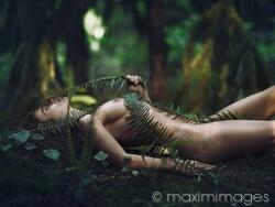 Image #MXI33520