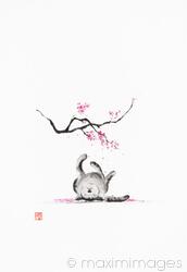 Fine art sumi-e painting of a cute cat lying asleep under pink sakura tree blossoms