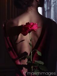 Red rose casting a shadow on a mysterious woman bare back. Dramatic sensual fine art photograph.