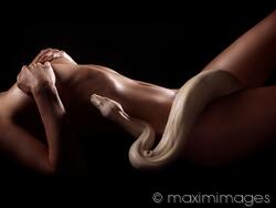Limited edition print: Sexy nude woman body with albino boa snake coiling on her naked skin in dark MaximImages.com